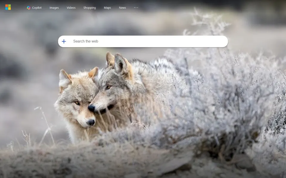 Bing website screenshot