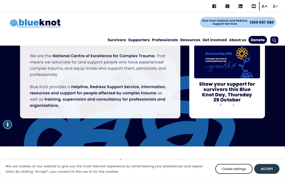 Blue Knot Foundation website screenshot