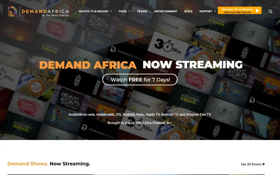 Demand Africa website screenshot