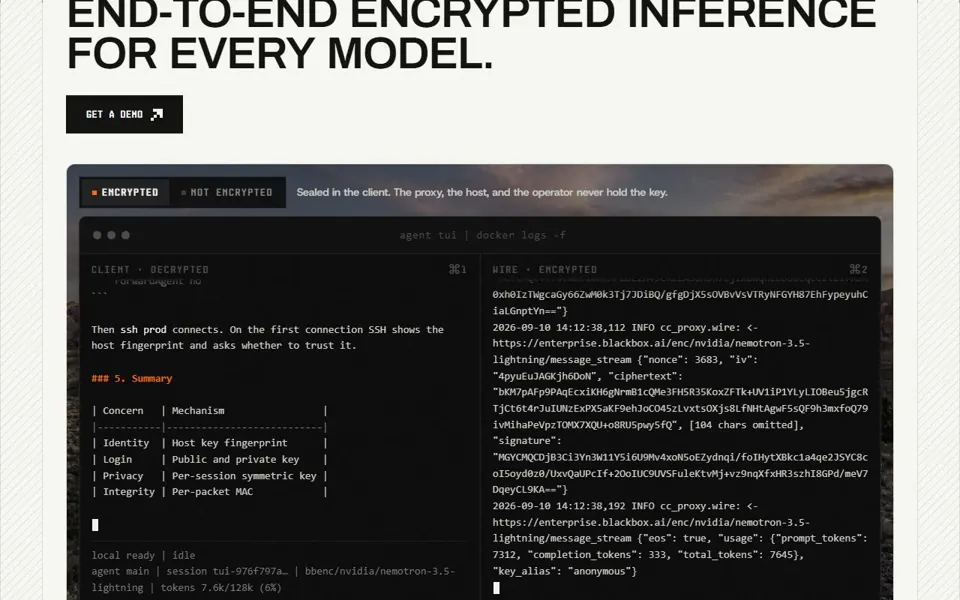BLACKBOX AI website screenshot