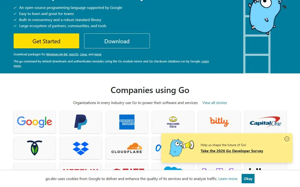 Go website screenshot